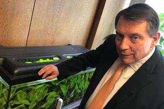 Dobrovský & Šídlo: Špidla padl, Gross padl. A pak se zjevil Paroubek - Seznam Zprávy